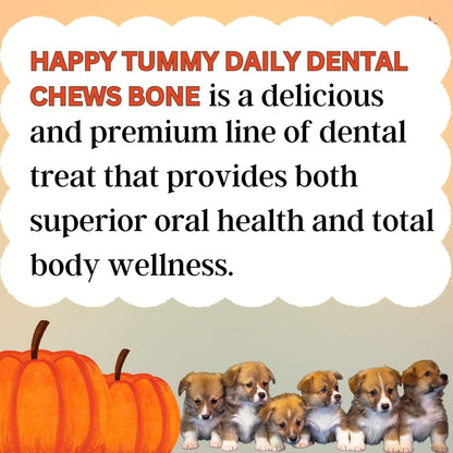 Happy Tummy Dental Chew Bone Treat for Dogs - 21Pcs, Small (Pumpkin)