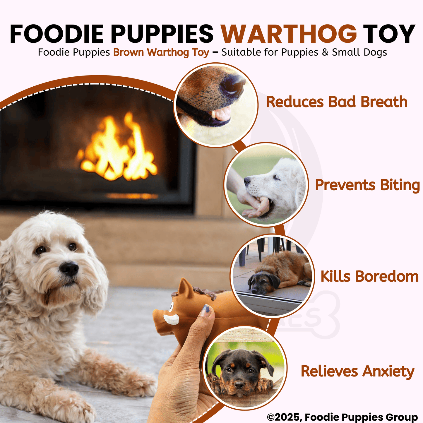 Dog Latex Brown Warthog Squeaky Chew Toy for Small Dogs and Puppies