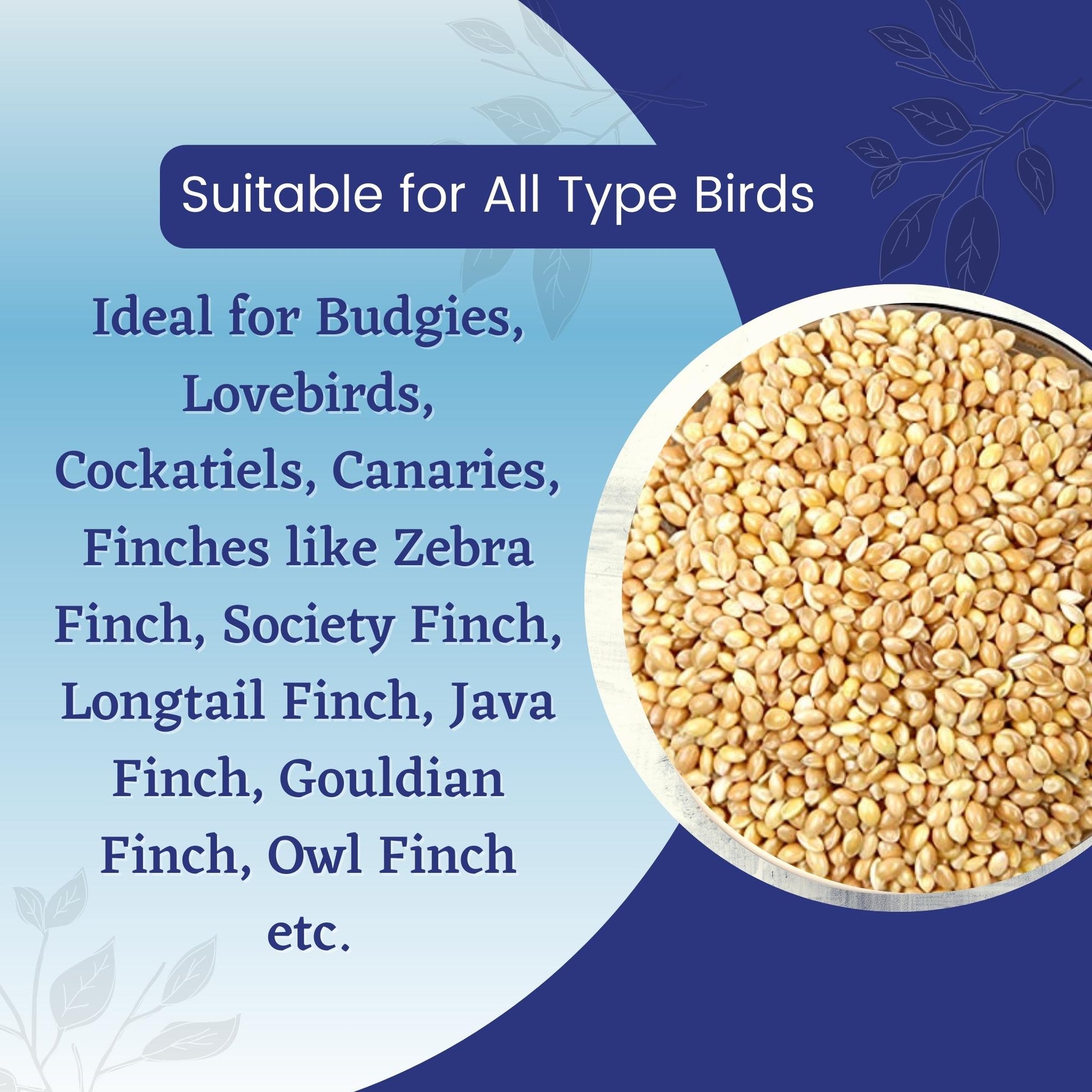 Premium Bird Seeds