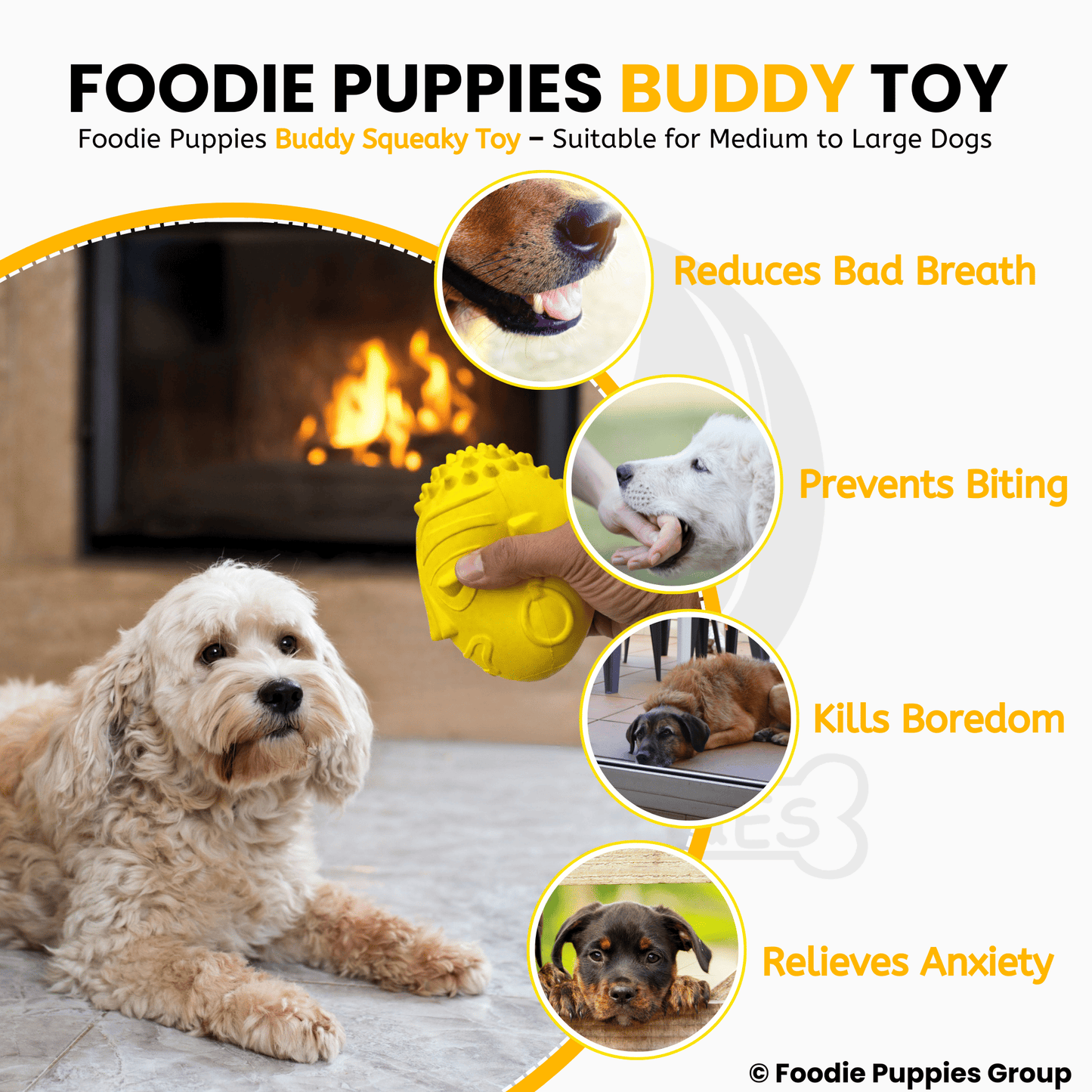 Dog Natural Latex Rubber Squeaky Toy - Buddy Squeaky Toy