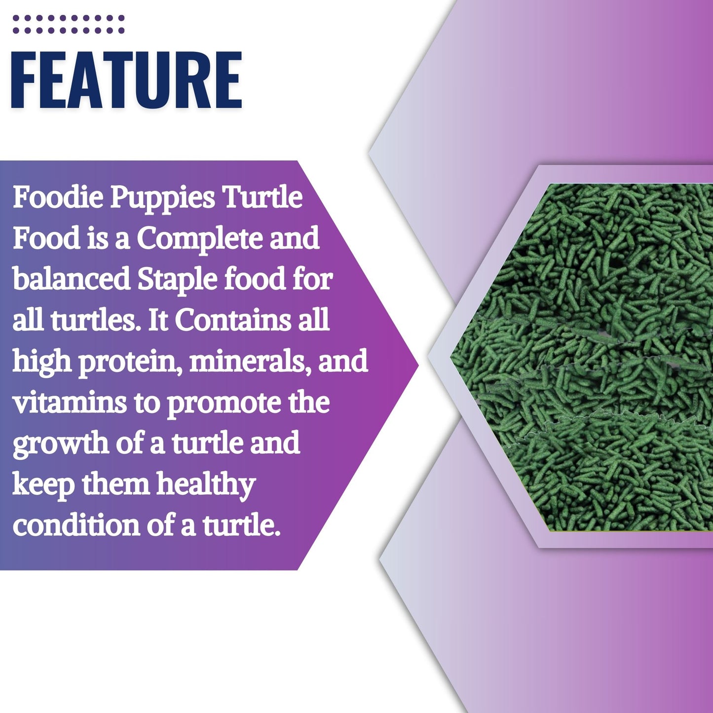 Foodie Puppies Turtle Food for Growth & Health - 2Kg (Pouch)