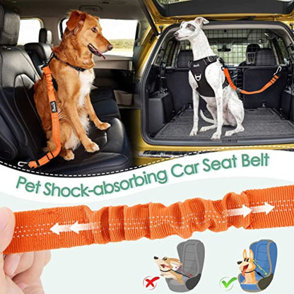 Foodie Puppies Elastic Nylon Car Seat Belt Cum Leash for Dogs and Cats