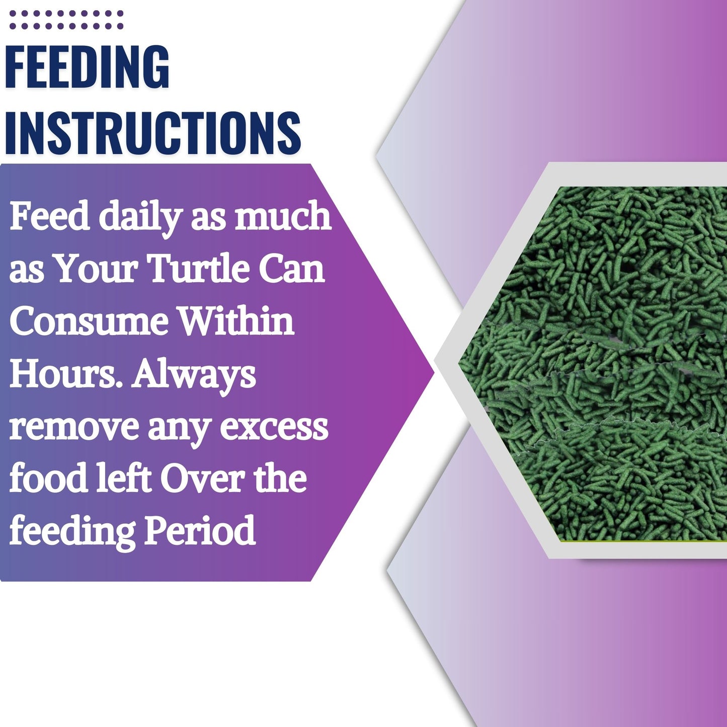 Foodie Puppies Turtle Food for Growth & Health - 5Kg (Pouch)