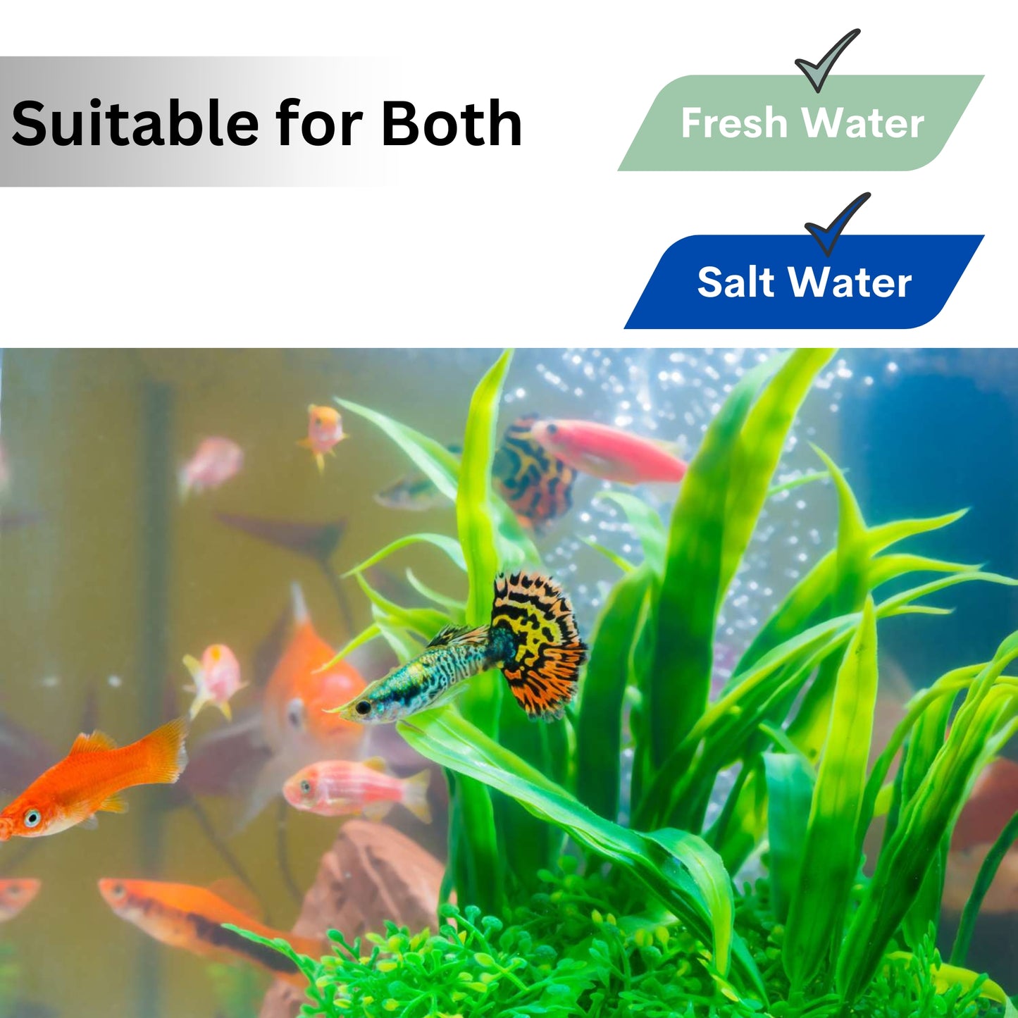Aquatic Remedies Plant Food - 220ml, for Fresh & Salt Water