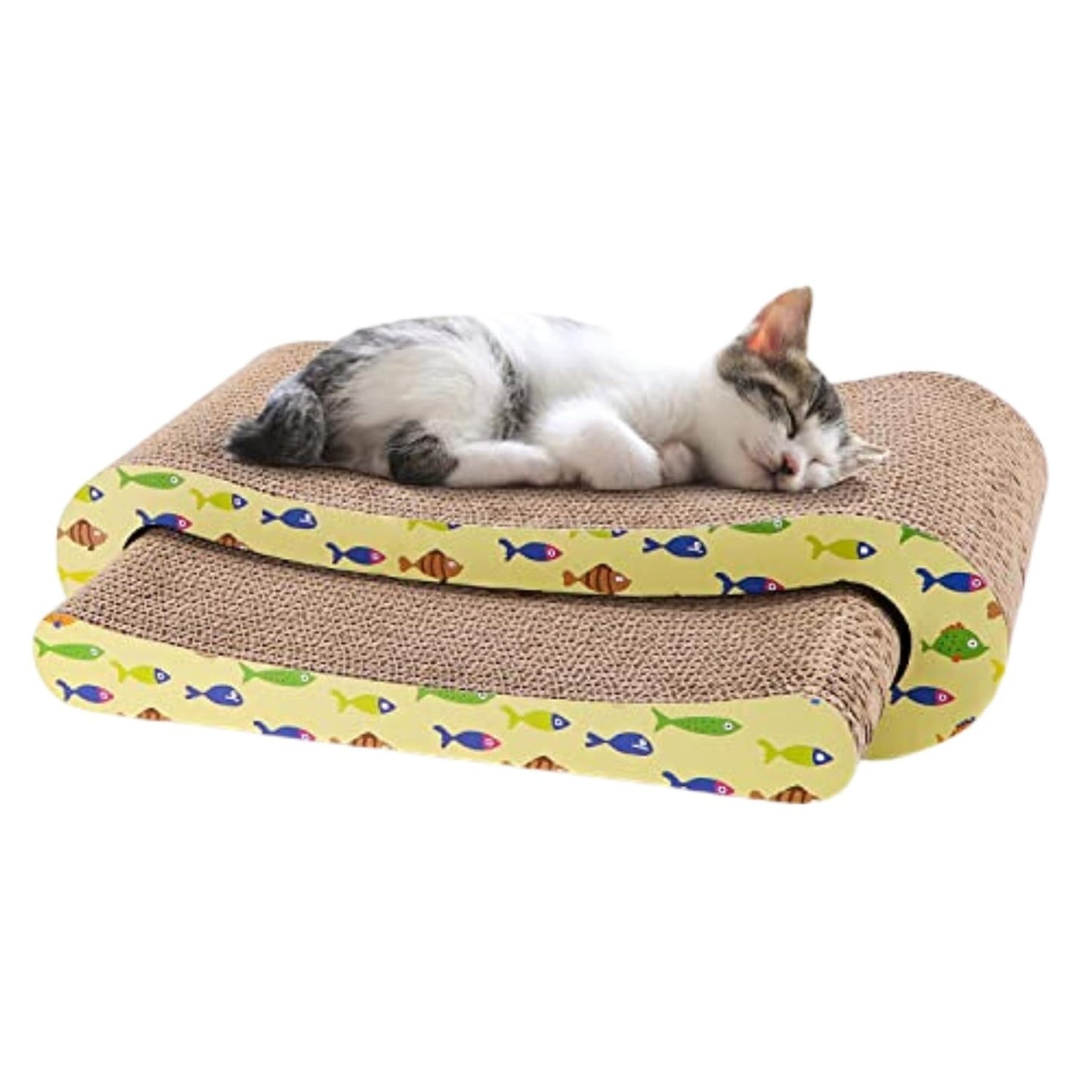 Corrugated Infinity Scratcher for Cats & Kittens