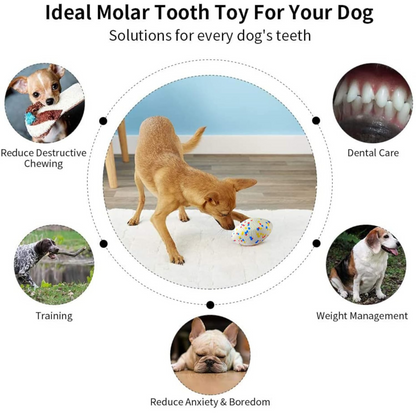 dog teeth cleaning toy