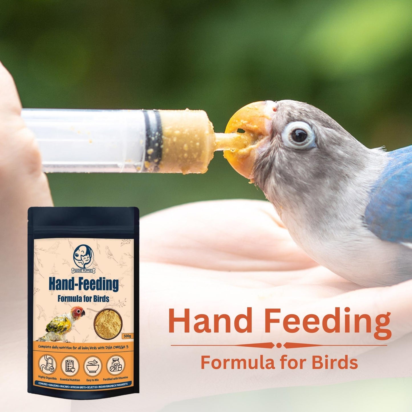 Foodie Puppies Hand-Feeding Formula for Birds - 500gm, Pack of 2