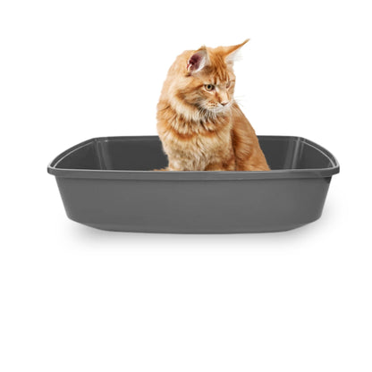 Foodie Puppies Cat Litter Tray for Small Cat and Kitten - Grey, Small