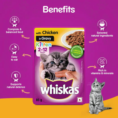 Whiskas Chicken in Gravy Wet Food for Kittens - 85gm, Pack of 6