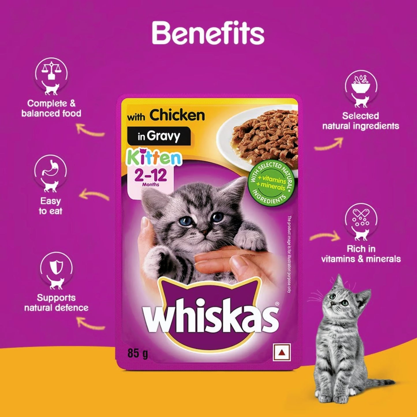 Whiskas Chicken in Gravy Wet Food for Kittens - 85gm, Pack of 18