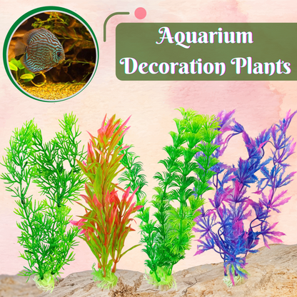 plants for aquarium