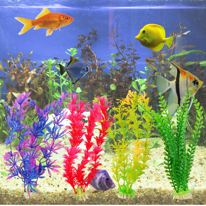 aquarium plants 