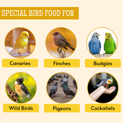 natural food for bird 