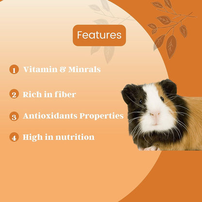 Foodie Puppies Guinea Pig Food Pellets Highly Nutritious Diet, 3Kg
