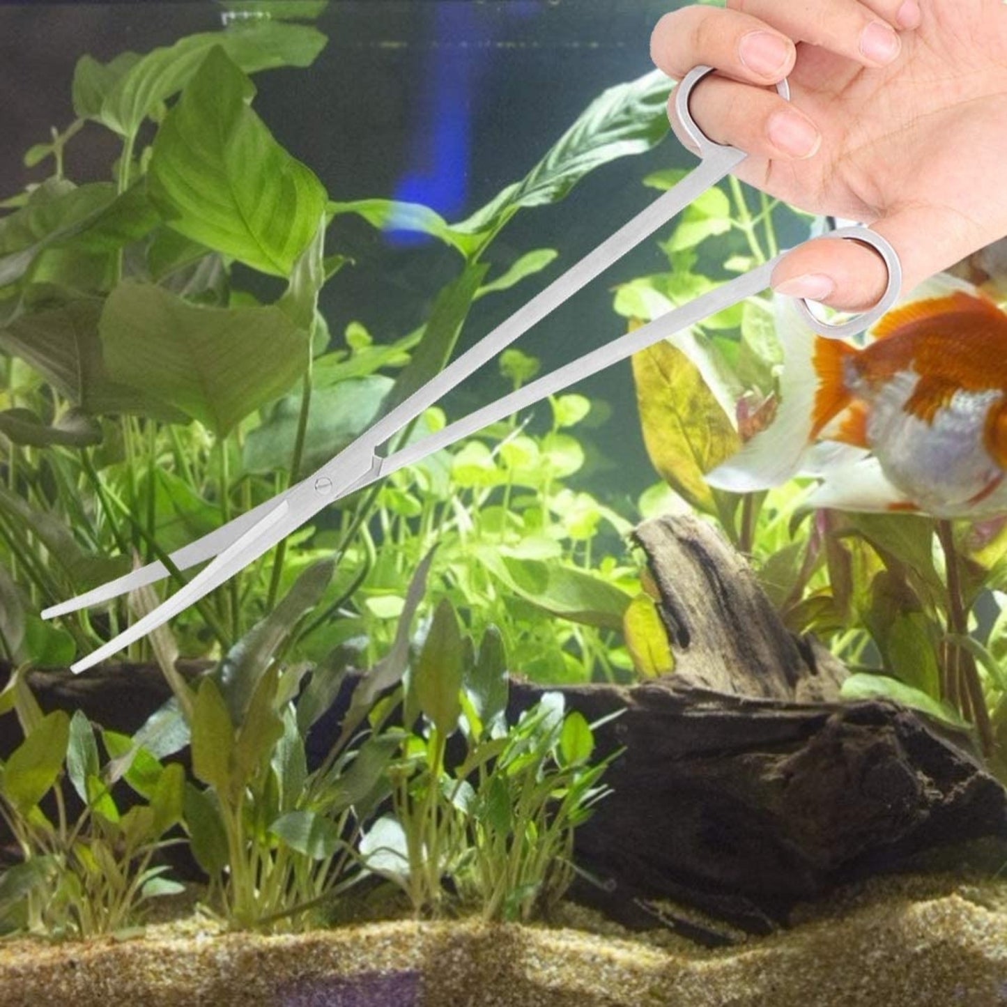 Foodie Puppies Stainless Steel Curved Scissor for Fish Tank Aquarium