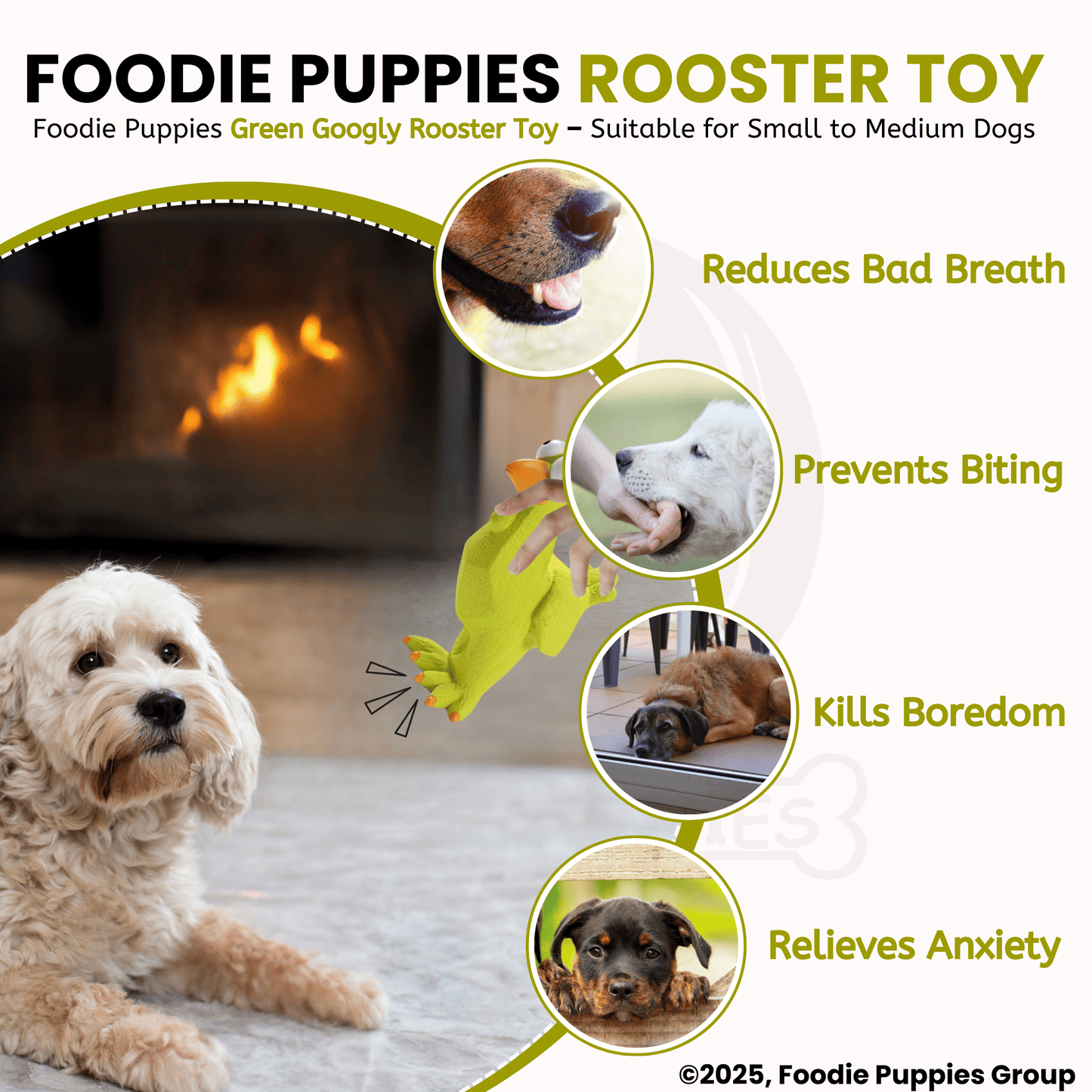 Dog Latex Green Googly Rooster Squeaky Chew Toy for Small Dogs and Puppies