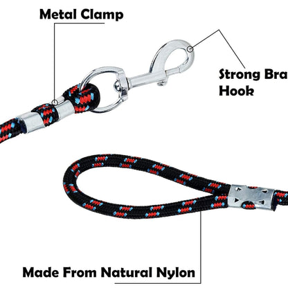 Foodie Puppies Nylon Leash for Medium & Large Dogs - 22mm (Color May Vary)
