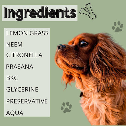 Foodie Puppies Dog Odor Control Spray - 200 ml | Eliminates Bad Odor