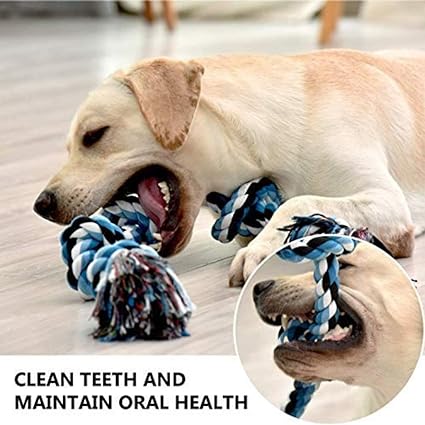 chew toy for pet