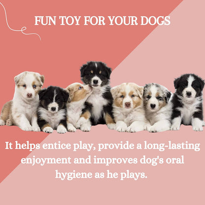pet chew toys