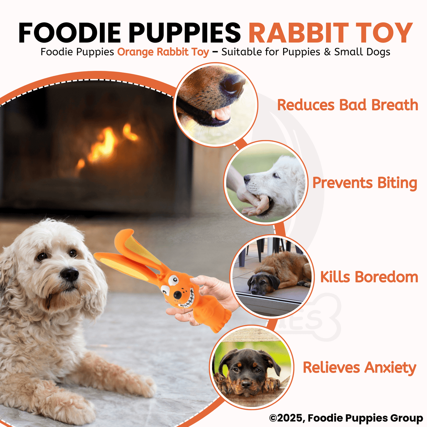 Orange Rabbit Chew Toy