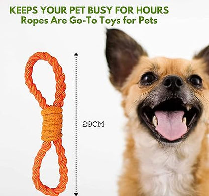 chew toy for dog 