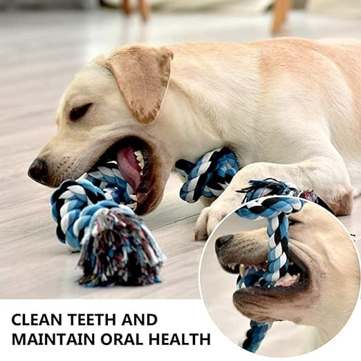 dog chew toys