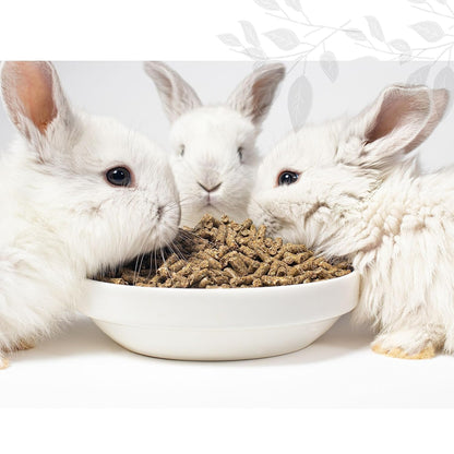 Foodie Puppies Rabbit Food Food (Pouch - 3Kg) | All Life Stages