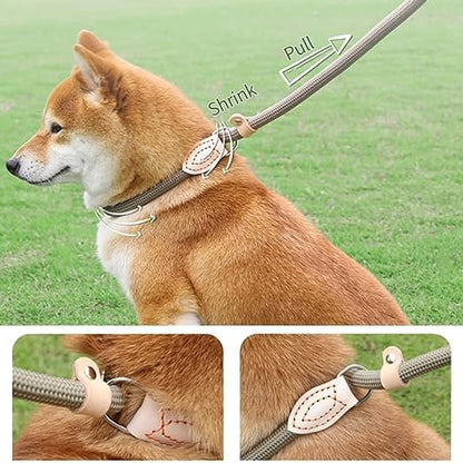 nylone rope leash for dog