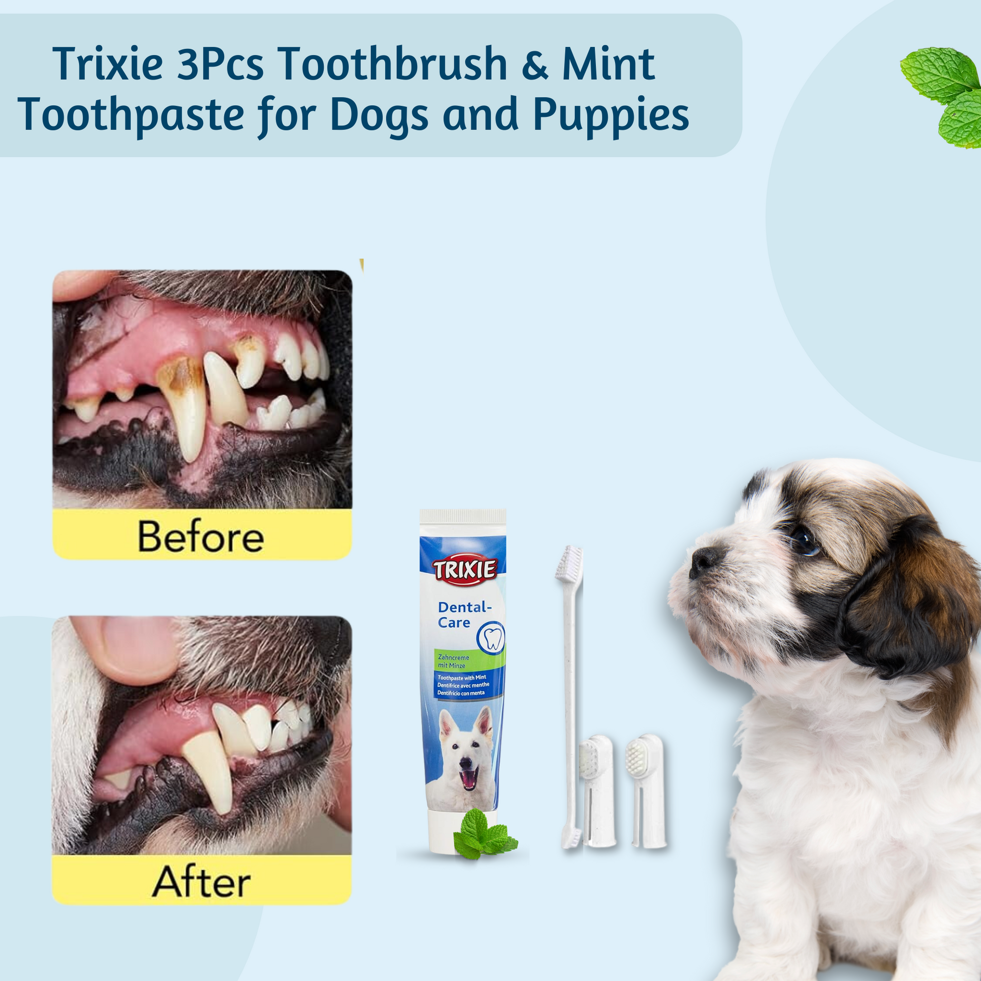 toothpaste for pet