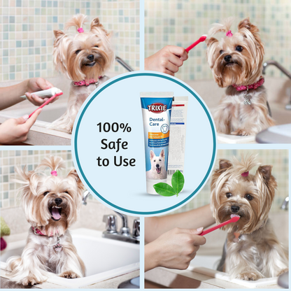 pet care product