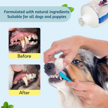 toothpaste for dog 