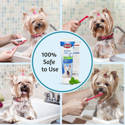 dog toothpaste 