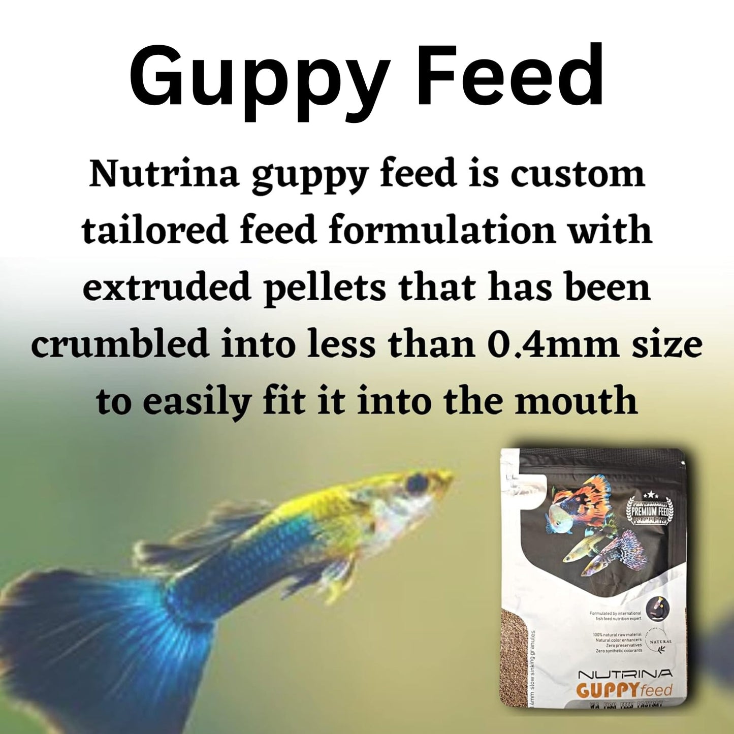 WA Nutrina Guppy Feed - 25gm, Pack of 2
