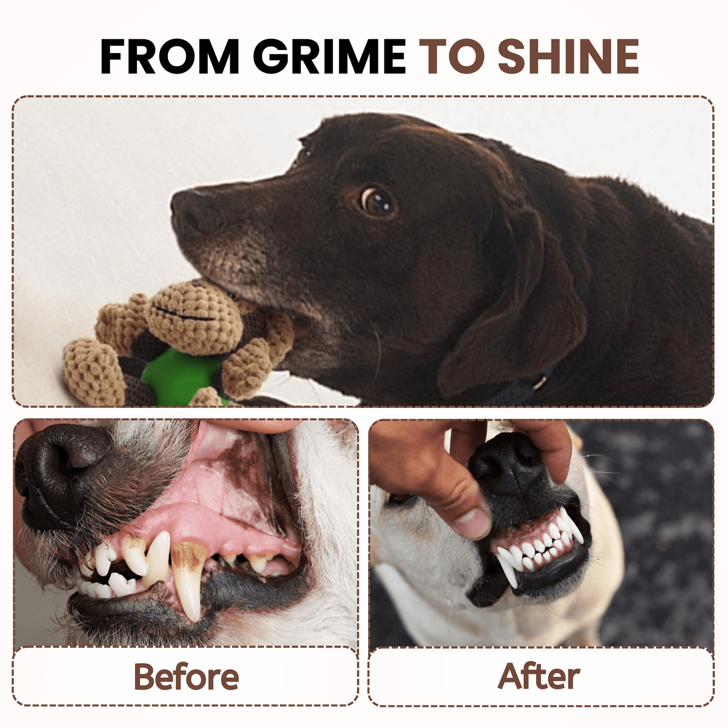 Dog Plush Toy