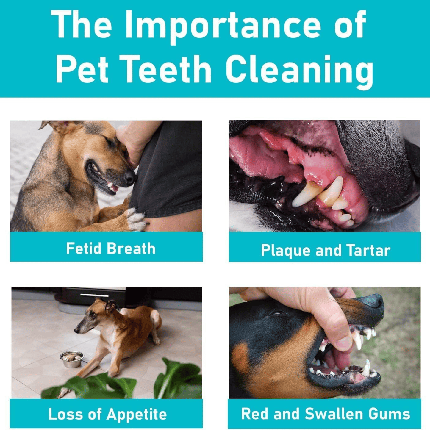 Double-Finger Dog Couple Toothbrush