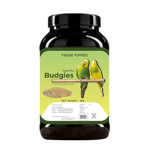Foodie Puppies Budgie Mix Seeds - (2Kg Box) | Suitable for All Types of Birds