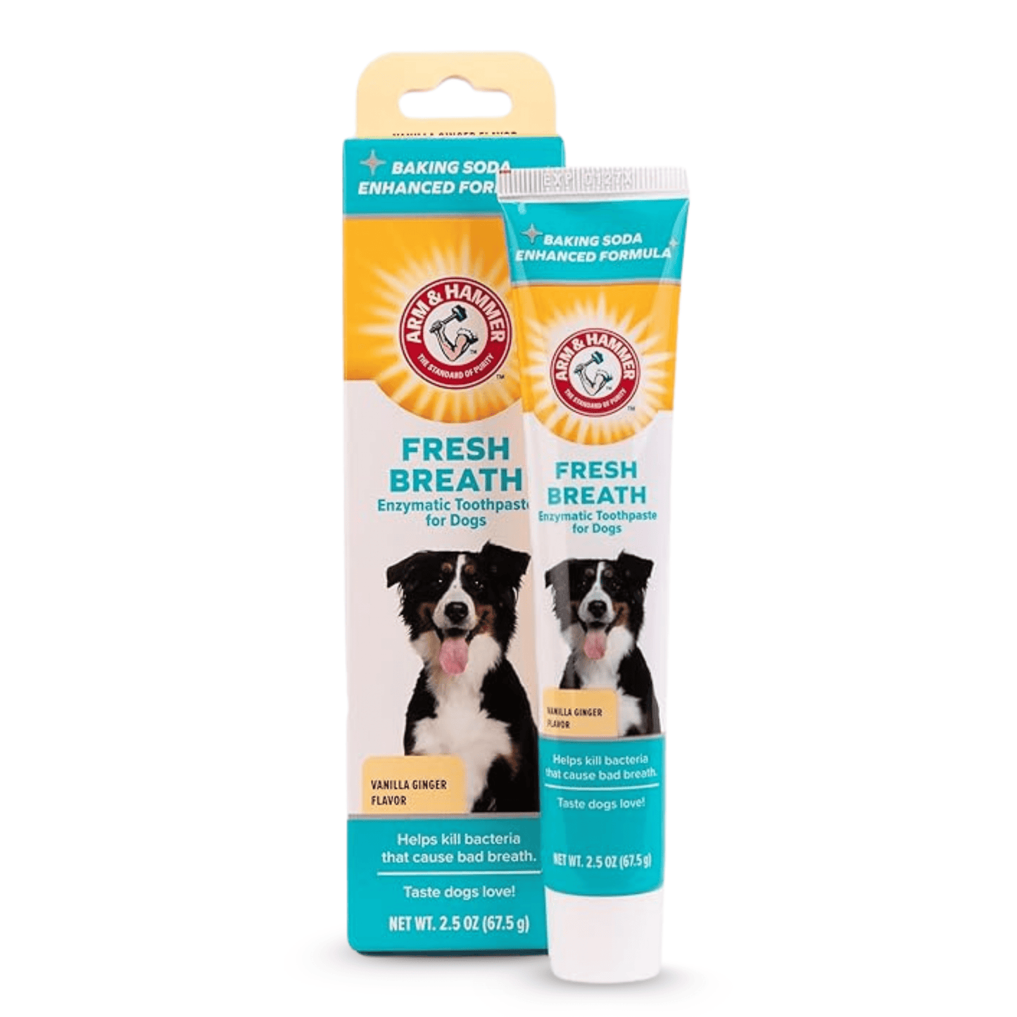 Arm and Hammer Advanced Care Fresh Breath and Whitening Toothpaste (Vanilla Ginger) for Dogs