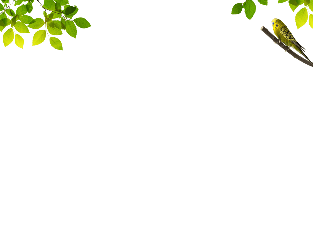 Mobile Background Image