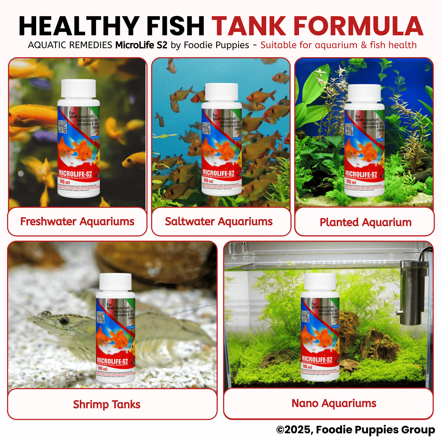 Aquatic Remedies Microlife-S2, 100ml | Fresh & Salt Water