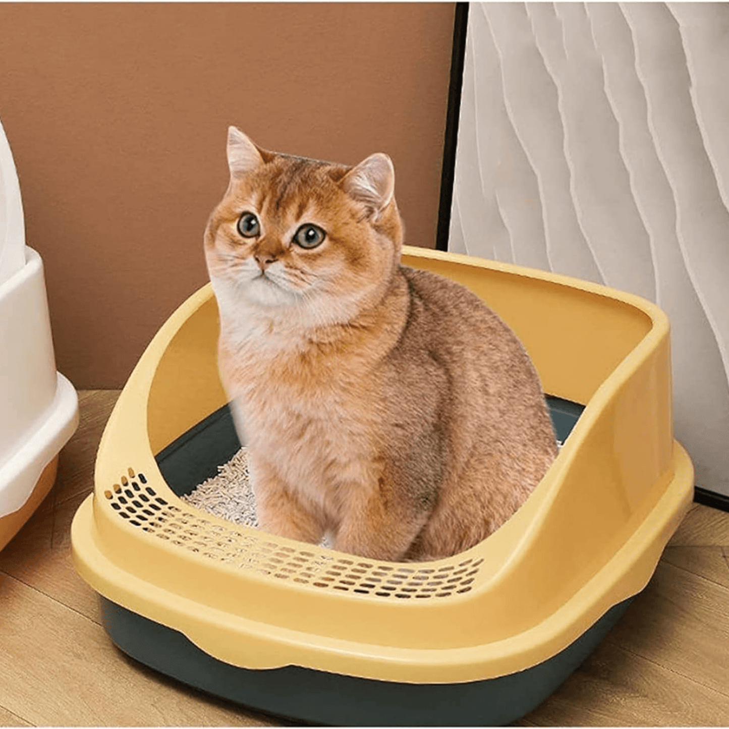 Cat litter pan