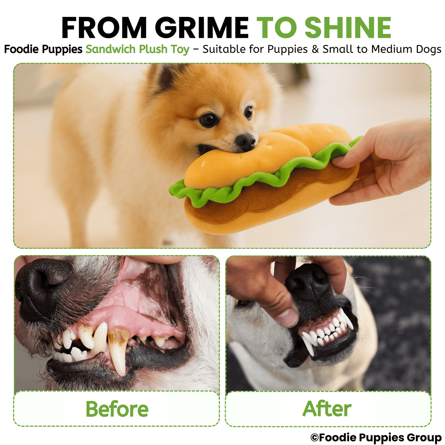 Sandwich Fun Chew Dog Toy
