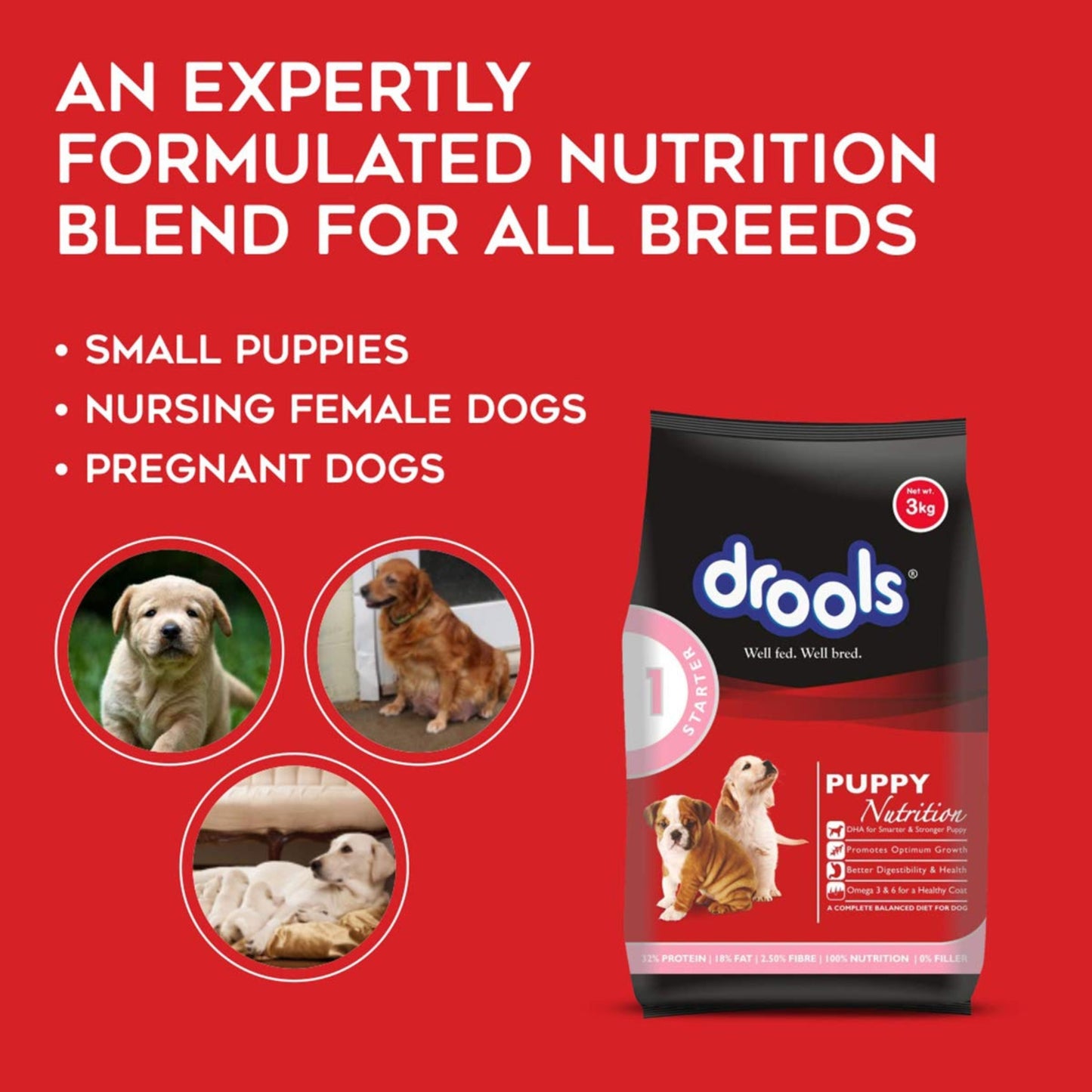 Drools Puppy Starter Dry Dog Food, Chicken Flavor, 3kg