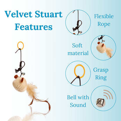 Velvet Stuart Features