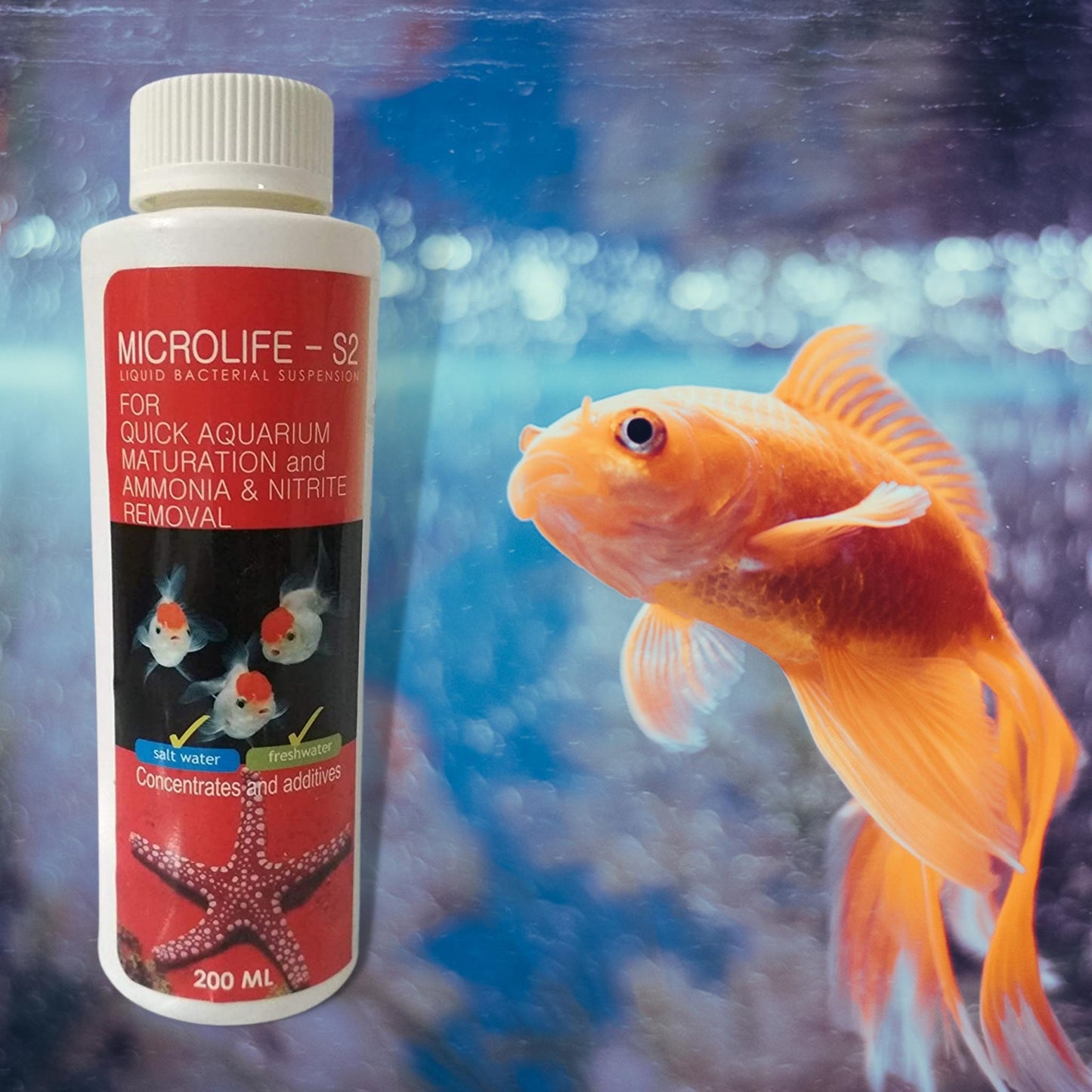 Aquatic Remedies Microlife-S2, 200ml (Pack of 2) | Fresh & Salt Water