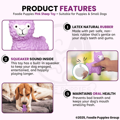 Dog Latex Pink Sheep Squeaky Chew Toy for Small Dogs and Puppies