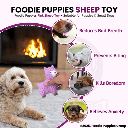Dog Latex Pink Sheep Squeaky Chew Toy for Small Dogs and Puppies