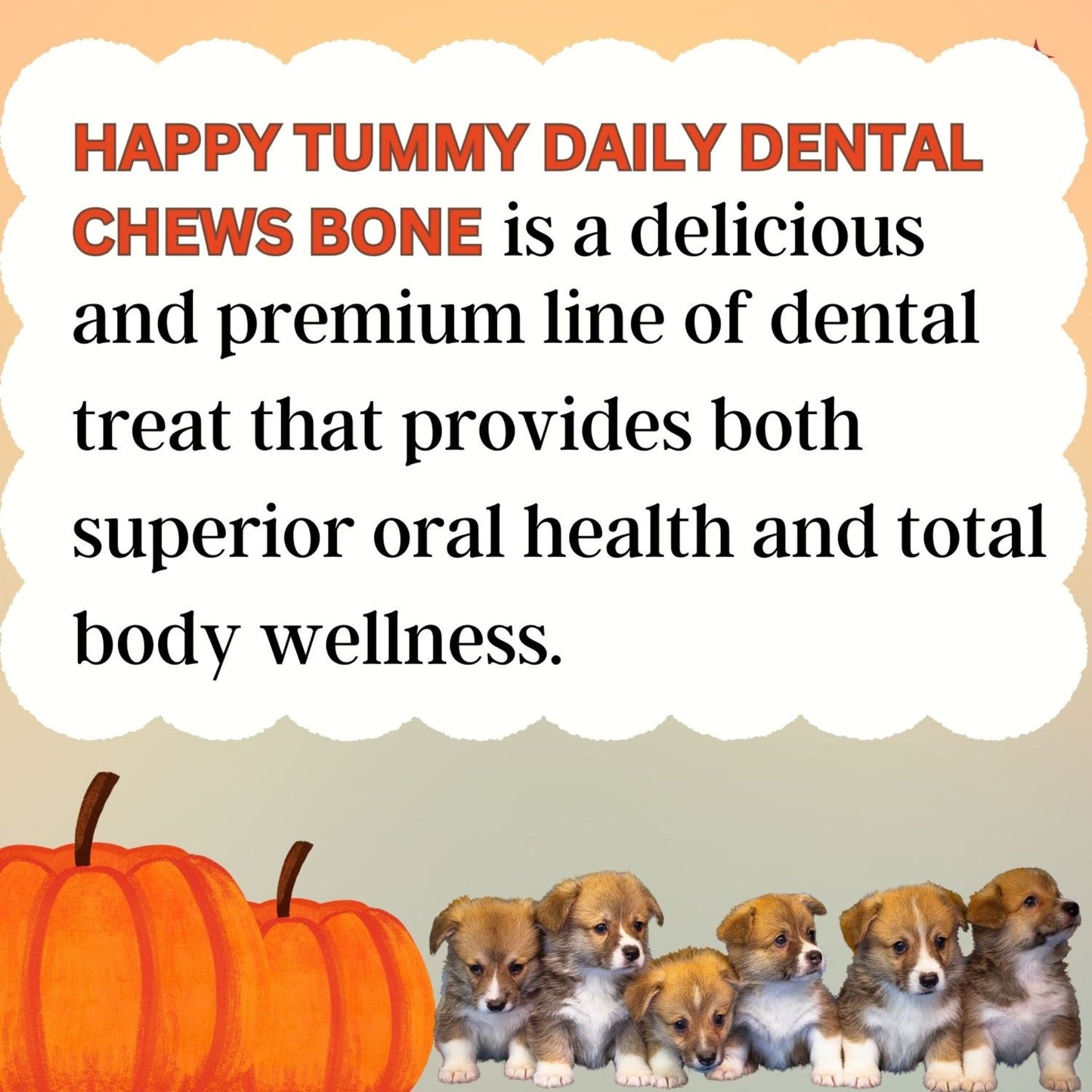 Happy Tummy Dental Chew Bone Treat for Dogs - 21Pcs, Small (Pumpkin)