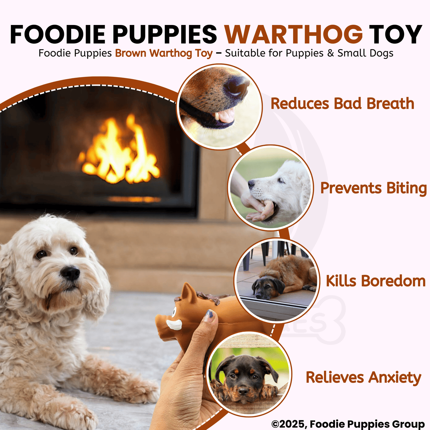 Dog Latex Brown Warthog Squeaky Chew Toy for Small Dogs and Puppies