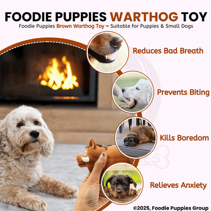 Dog Latex Brown Warthog Squeaky Chew Toy for Small Dogs and Puppies